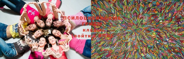 PSILOCYBIN Заволжье