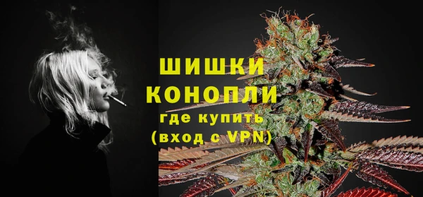 PSILOCYBIN Заволжье