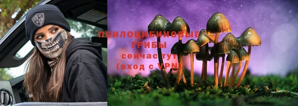 PSILOCYBIN Заволжье