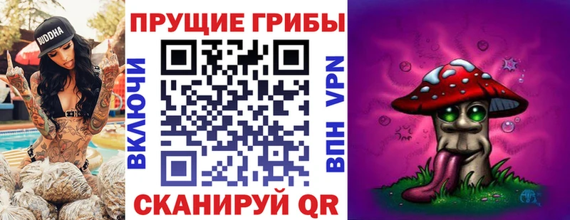Галлюциногенные грибы Cubensis  Купить  Горбатов 