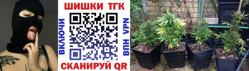 Каннабис ГИДРОПОН Горбатов